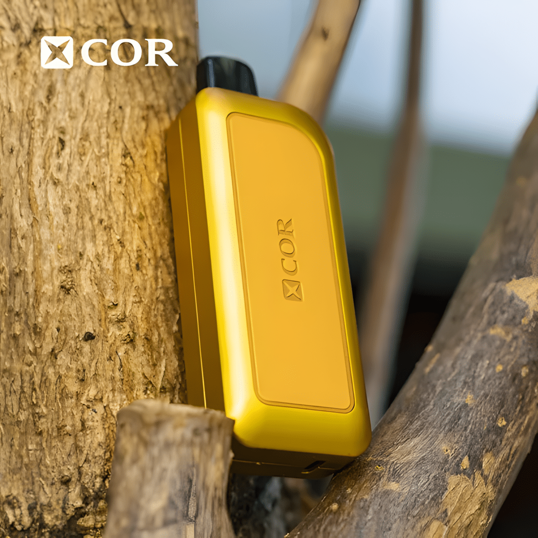 XCOR DUBAI NIGHT,28000 PUFFS
