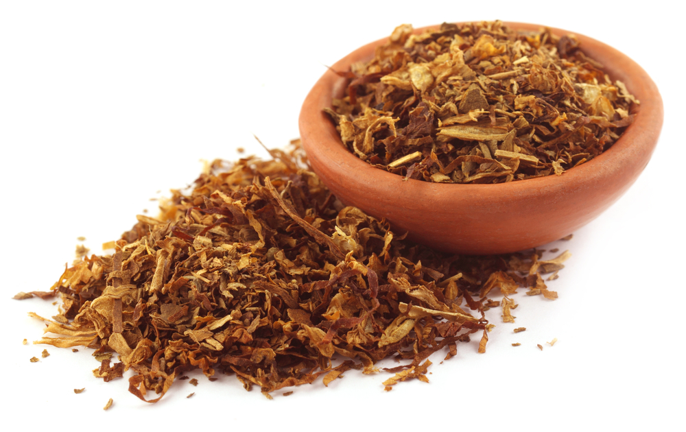 Bowl of loose tobacco leaves on white background