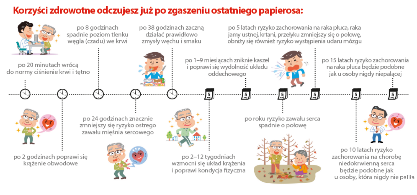 Ilustracja przedstawiająca układ krążenia i wpływ nikotyny.