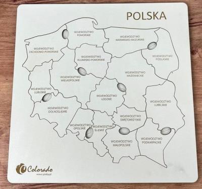 Stylizowana mapa Polski z ikonami e-papierosów lub pinezkami rozmieszczonymi w okolicach dużych miast, symbolizującymi zgrupowania sklepów vape.
