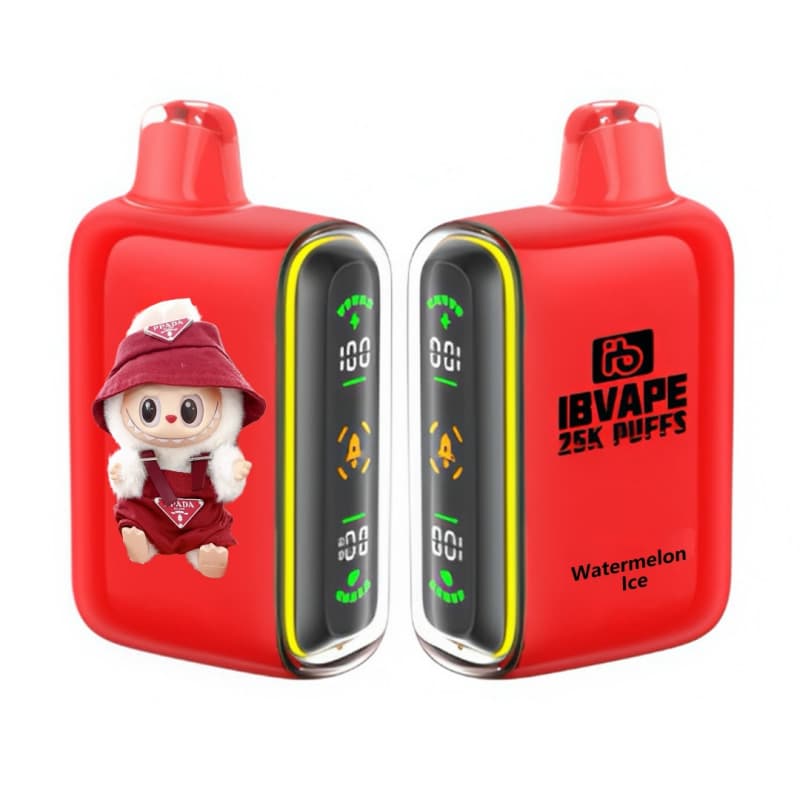 vape jednorazowy USB-C, e-papieros ładowany, innowacja vape port ładowania - Arbuzowy Lód 25000 Puff - Orzeźwiający E-papieros Jednorazowy ...