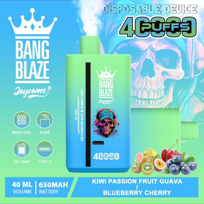 Dual Mesh Coil budowa, Hifancy Dream 45000, Bang Blaze 40000, siatka grzewcza vape schemat, przekrój grzałki podwójnej - Bang Blaze 40000 Puffs Disposable Vape Type-C Rechargeable