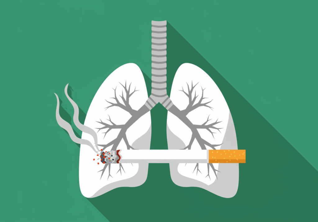 grypa palacza, smoker