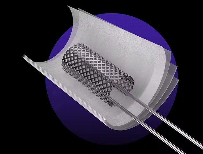 mesh coils in disposables 1